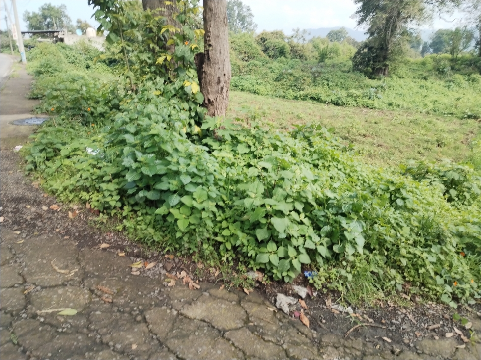 TERRENO COMERCIAL EN VALLE DE BRAVO — foto 2