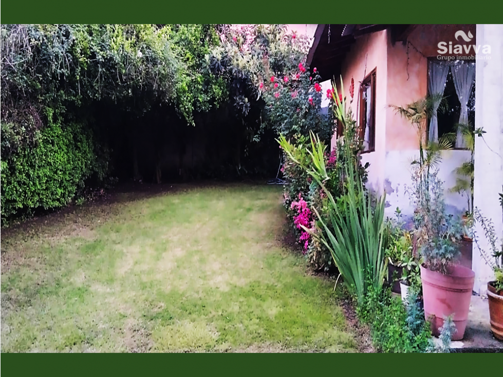 CASA EN RENTA || CERRO GORDO || AMUEBLADA - 1