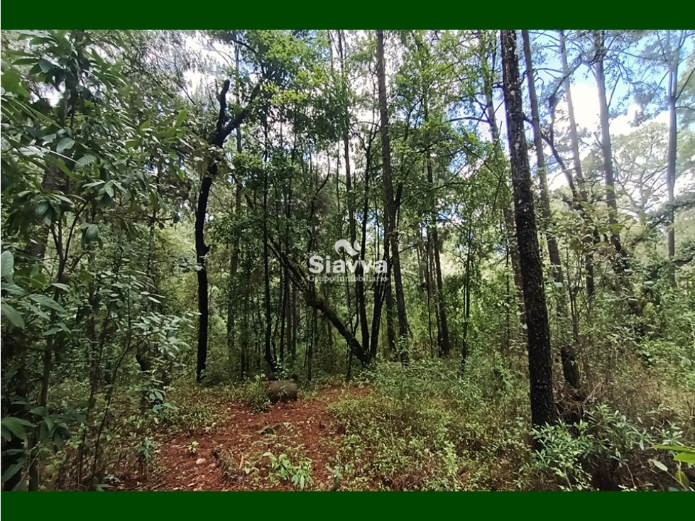 Terreno en venta, Acatitlán, Valle de Bravo — foto 2