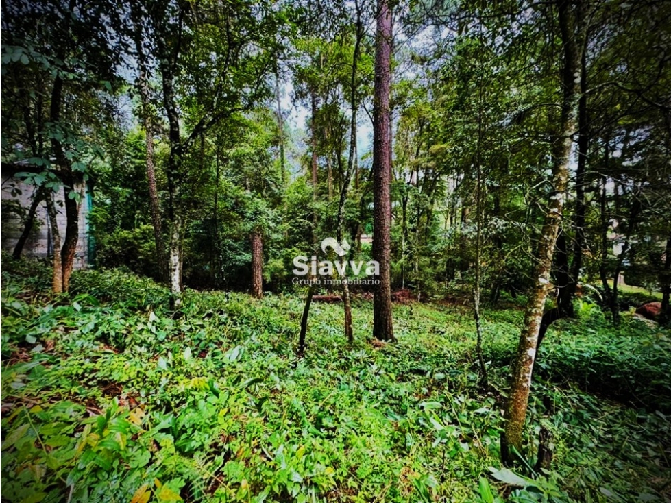TERRENO EN VENTA EN AVÁNDARO, VALLE DE BRAVO — foto 3