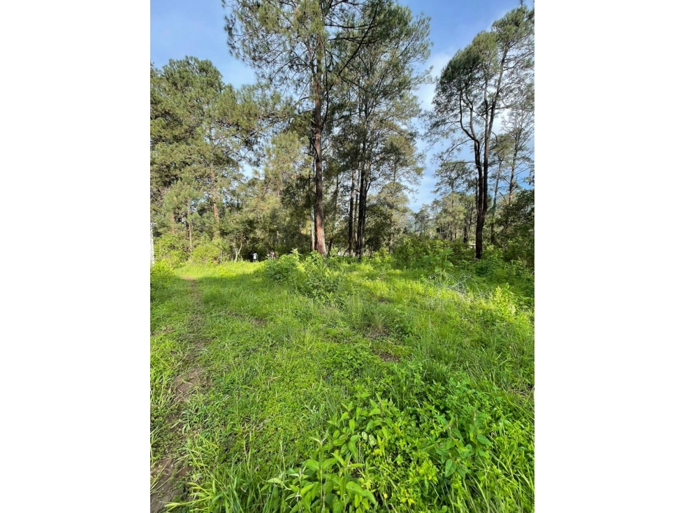 TERRENO EN VENTA EN VALLE DE BRAVO — foto 3