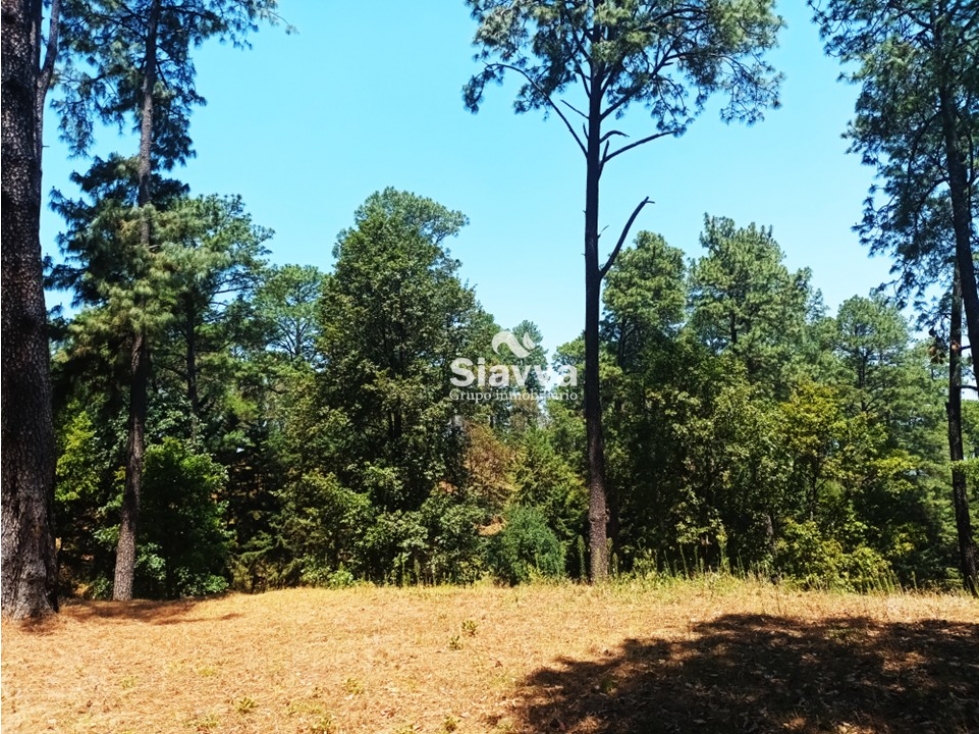 TERRENO EN VENTA EN LA CANDELARIA, VALLE DE BRAVO — foto 3