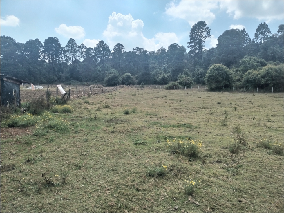 BONITO TERRENO EN VALLE DE BRAVO — foto 2