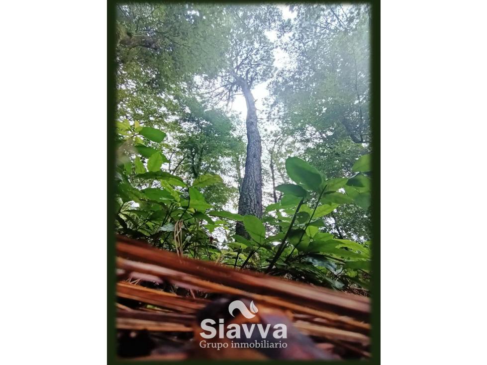 TERRENO EN VENTA EN AVÁNDARO, VALLE DE BRAVO
