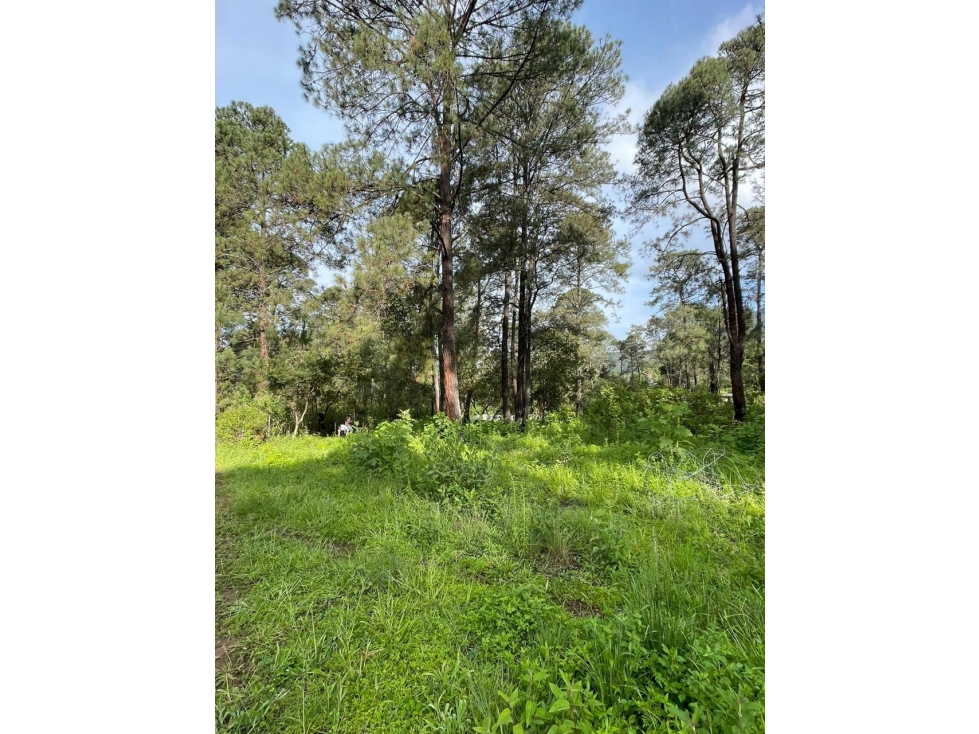 TERRENO EN VENTA EN VALLE DE BRAVO — foto 4