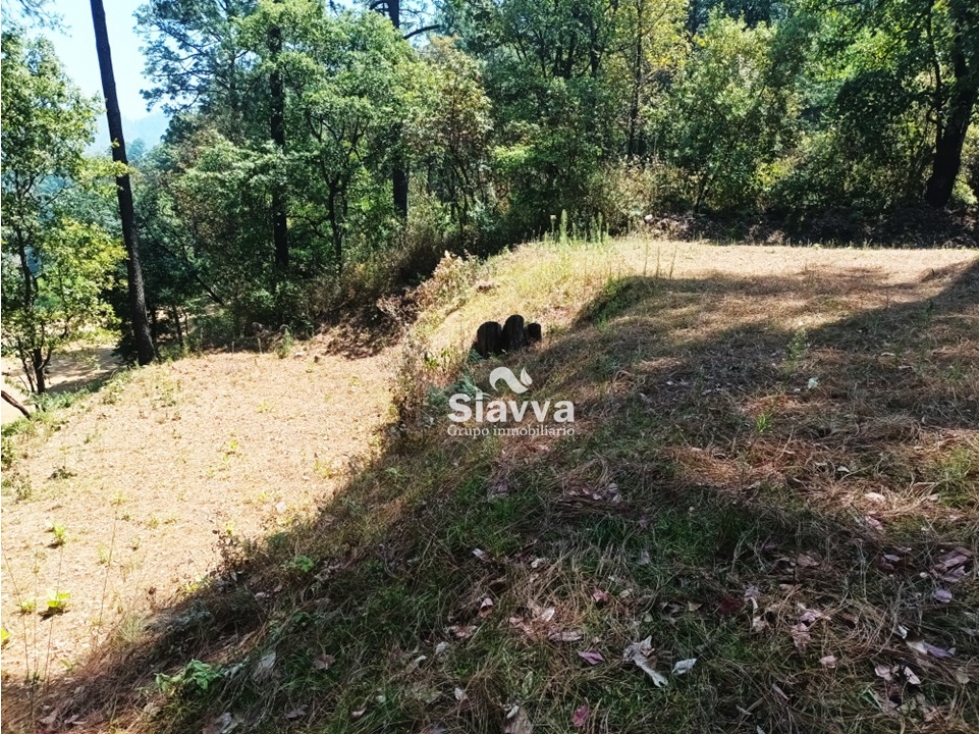 TERRENO EN VENTA EN LA CANDELARIA, VALLE DE BRAVO — foto 4