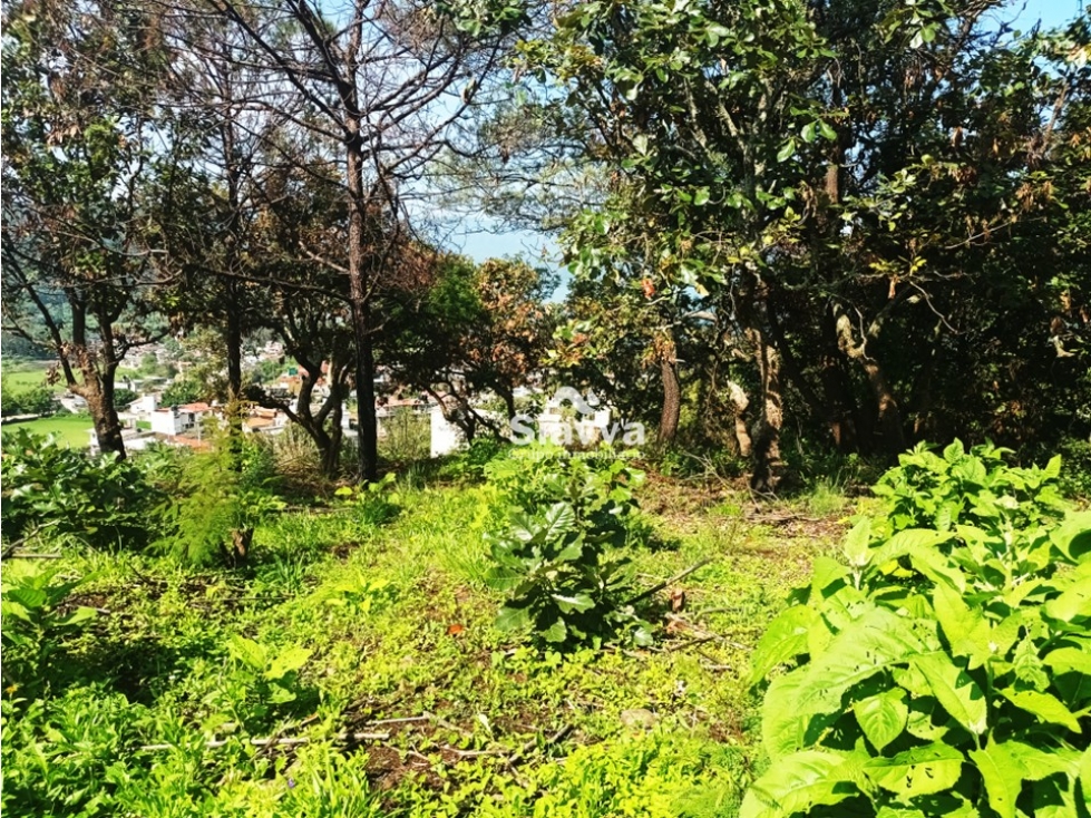 TERRENO EN VENTA EN EL ARCO, VALLE DE BRAVO