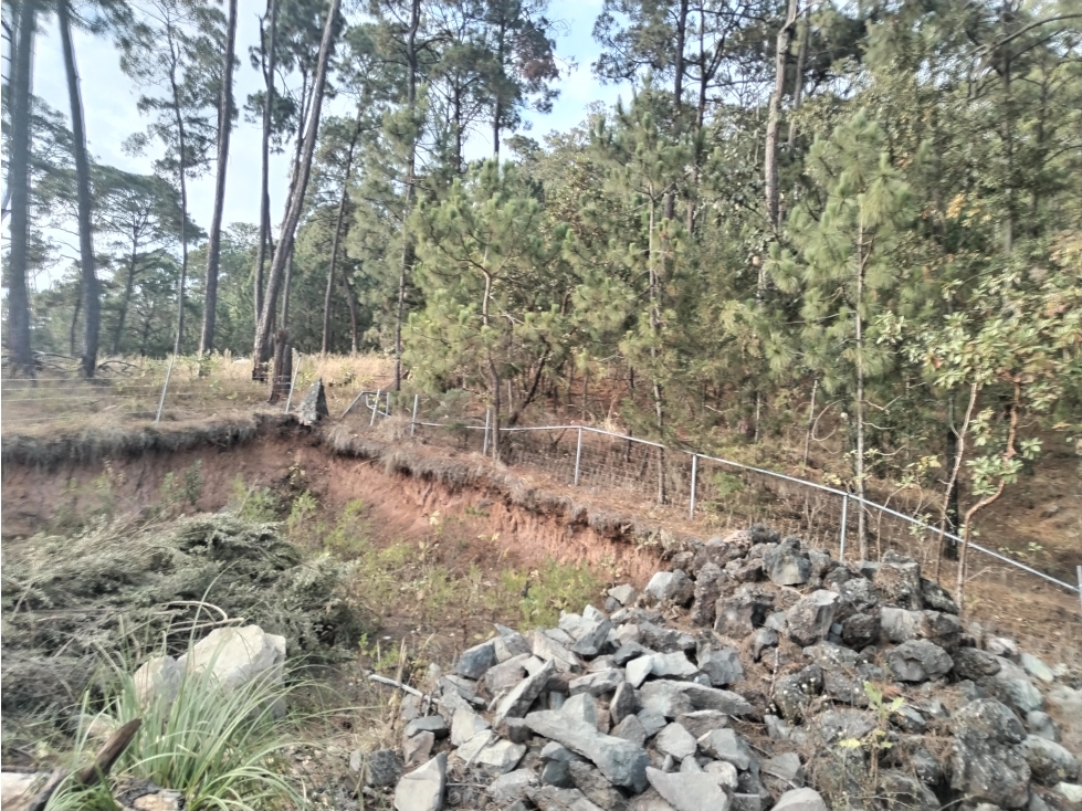 LOTE BOSCOSO EN VALLE DE BRAVO — foto 2