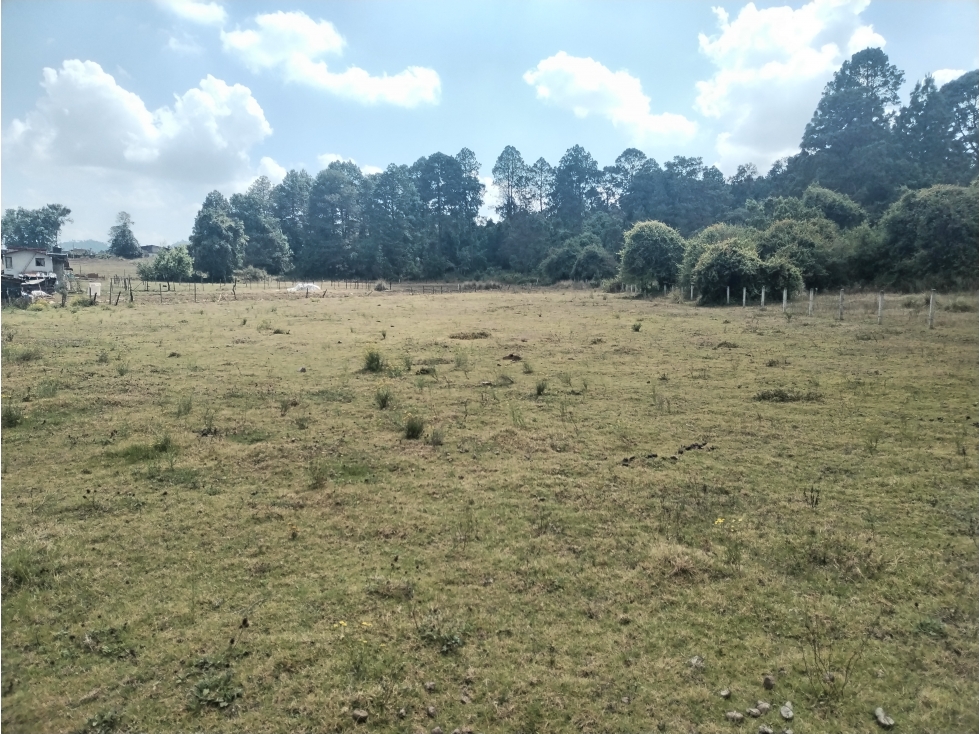 BONITO TERRENO EN VALLE DE BRAVO — foto 3