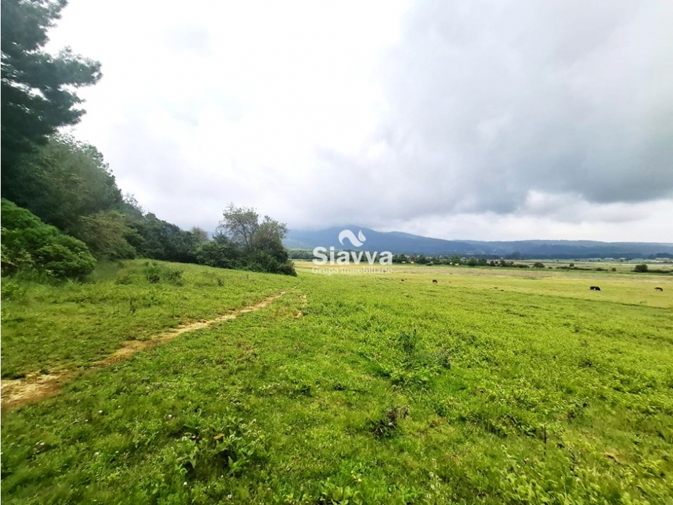 TERRENO EN VENTA EN DONATO GUERRA — foto 2