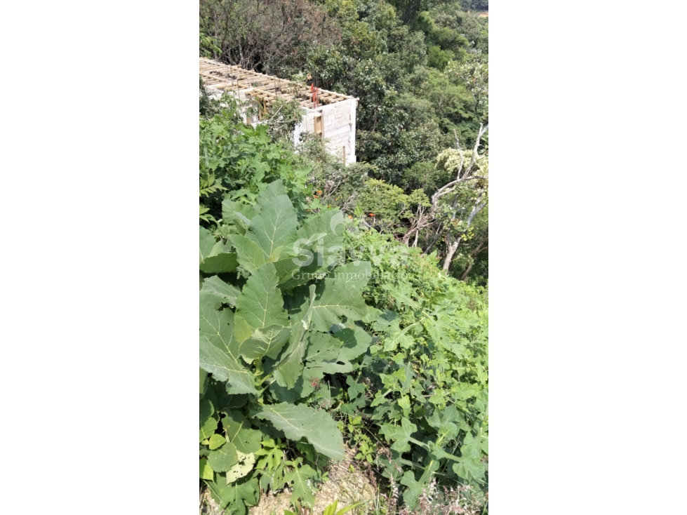 TERRENO DENTRO DEL EXCLUSIVO FRACCIONAMIENTO EL SANTUARIO - 3