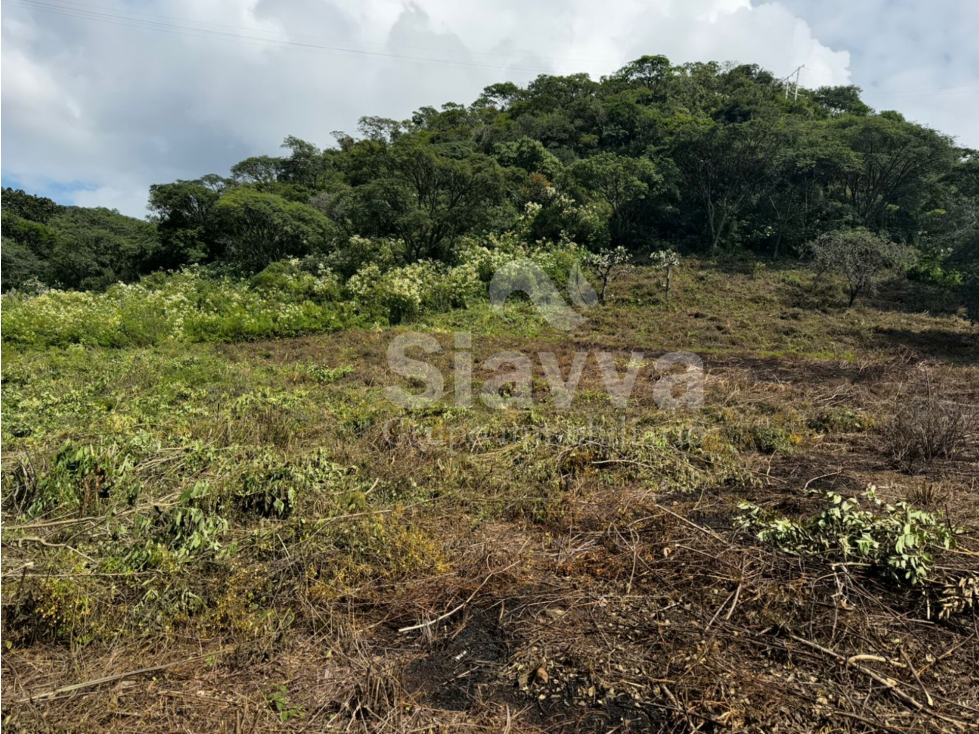 TERRENO CON VISTA PARCIAL AL LAGO EN SAN GASPAR - 3