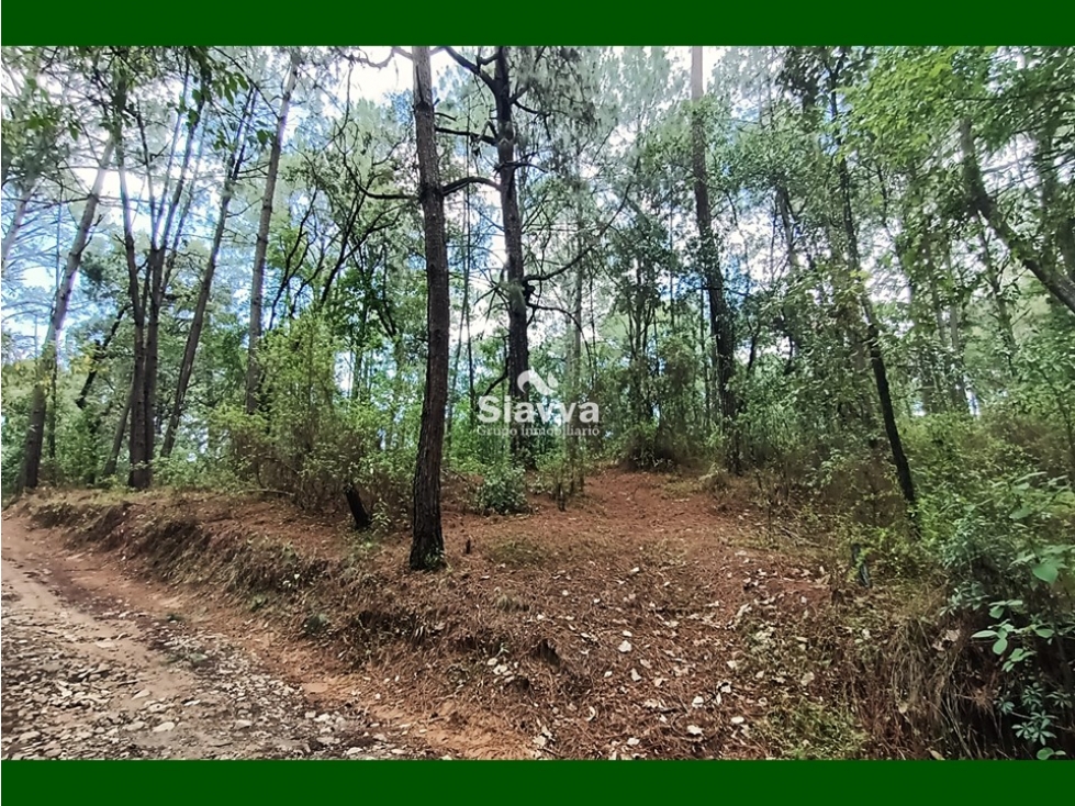 Terreno en venta, Acatitlán, Valle de Bravo — foto 4