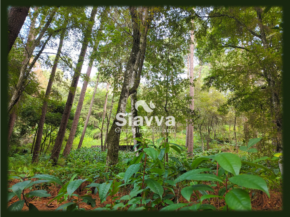 TERRENO EN VENTA EN AVÁNDARO, VALLE DE BRAVO — foto 4