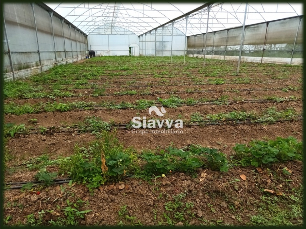 TERRENO EN VENTA EN SANTA MAGDALENA, VALLE DE BRAVO — foto 3