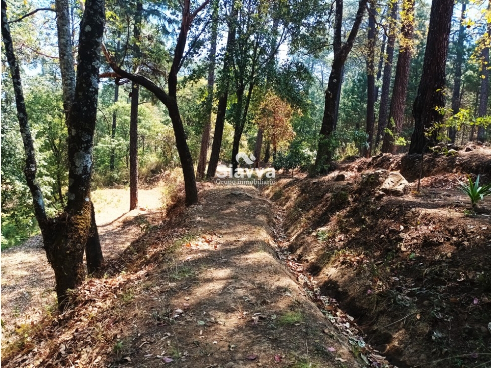TERRENO EN VENTA EN LA CANDELARIA, VALLE DE BRAVO — foto 5