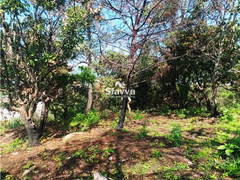 TERRENO EN VENTA EN EL ARCO, VALLE DE BRAVO — foto 4