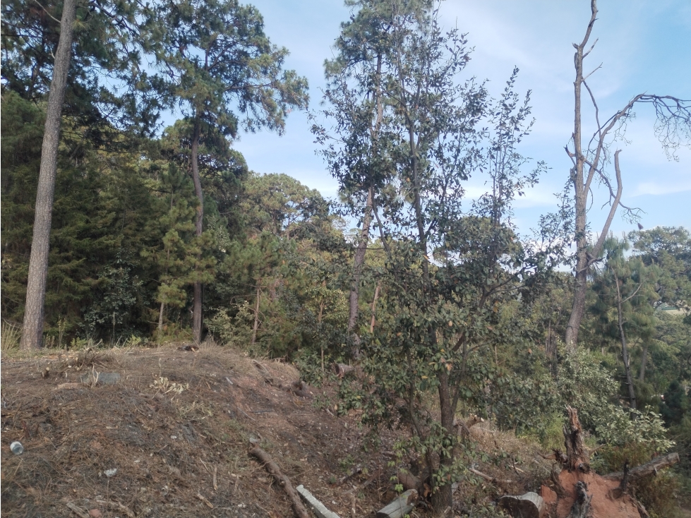 LOTE BOSCOSO EN VALLE DE BRAVO — foto 3