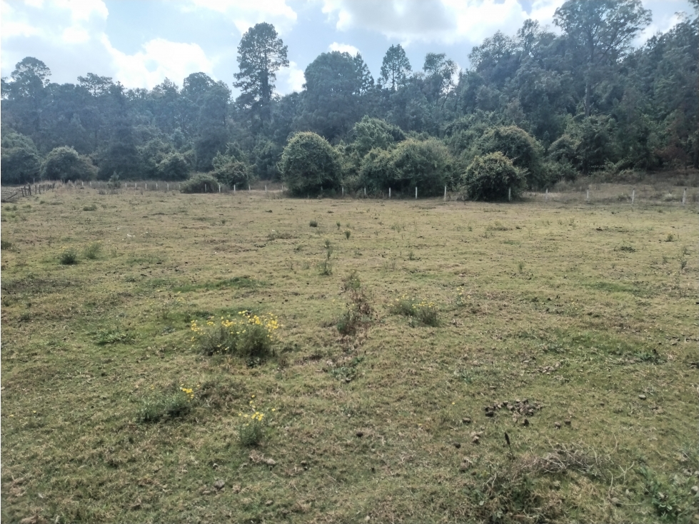 BONITO TERRENO EN VALLE DE BRAVO — foto 4