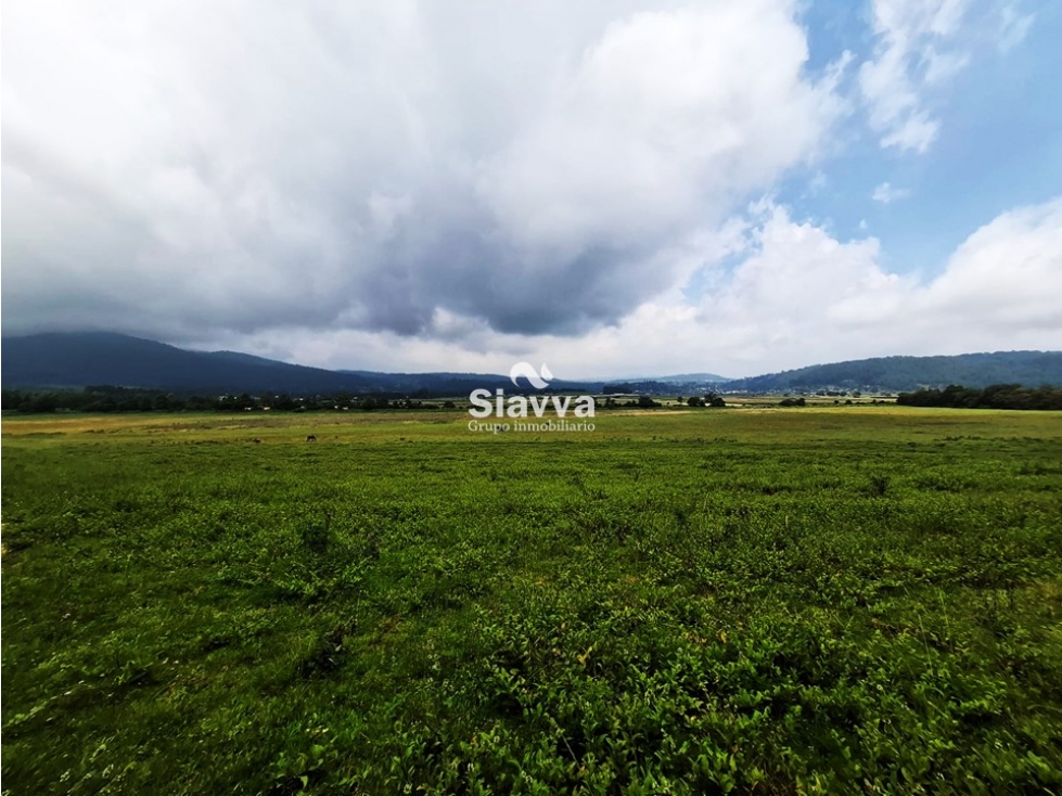 TERRENO EN VENTA EN DONATO GUERRA — foto 3