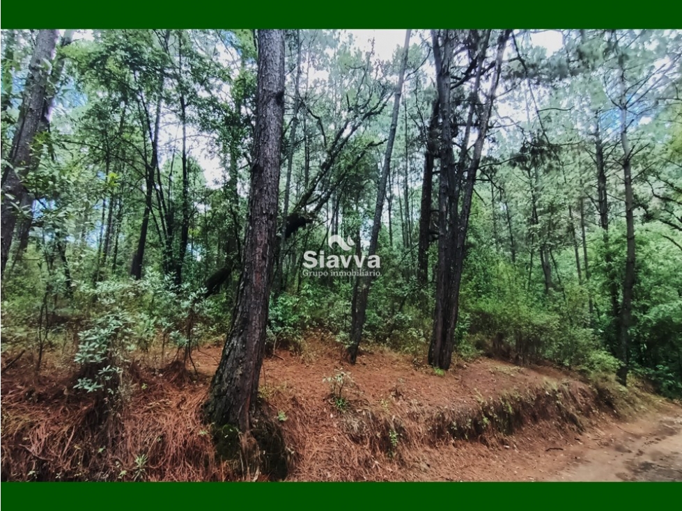 Terreno en venta, Acatitlán, Valle de Bravo — foto 5