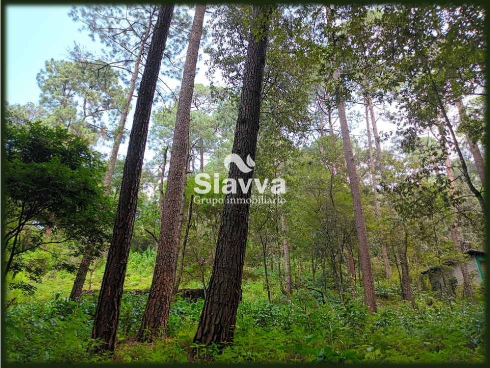 TERRENO EN VENTA EN AVÁNDARO, VALLE DE BRAVO — foto 5