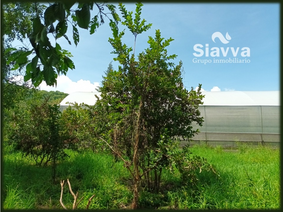 TERRENO EN VENTA EN SANTA MAGDALENA, VALLE DE BRAVO — foto 4
