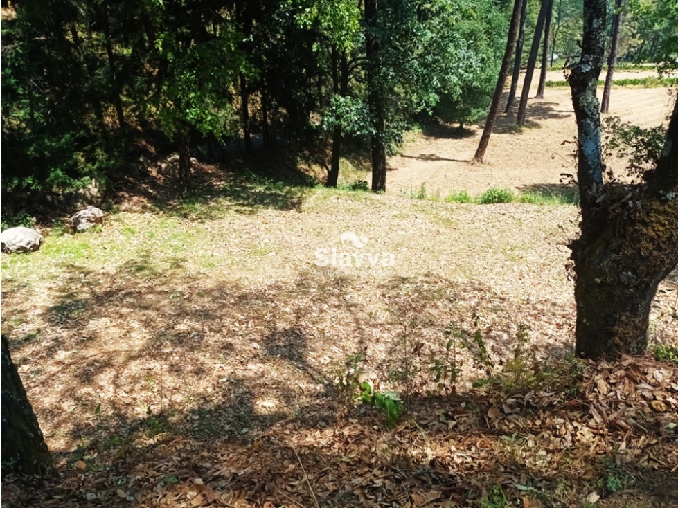 TERRENO EN VENTA EN LA CANDELARIA, VALLE DE BRAVO — foto 6