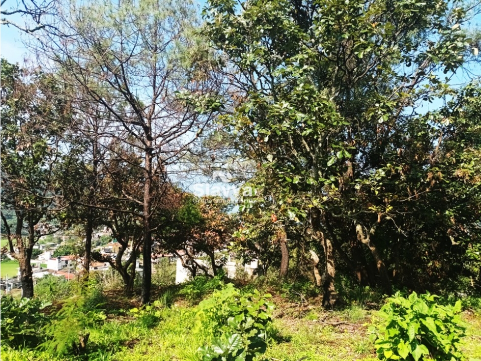TERRENO EN VENTA EN EL ARCO, VALLE DE BRAVO — foto 5