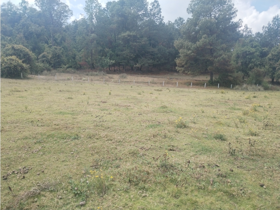 BONITO TERRENO EN VALLE DE BRAVO — foto 5