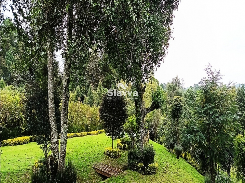 TERRENO EN VENTA ||SAN SIMÒN EL ALTO || VALLE DE BRAVO - 4