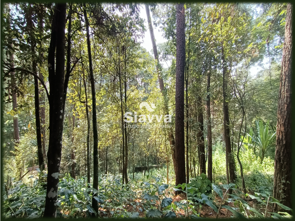 TERRENO EN VENTA EN AVÁNDARO, VALLE DE BRAVO — foto 6