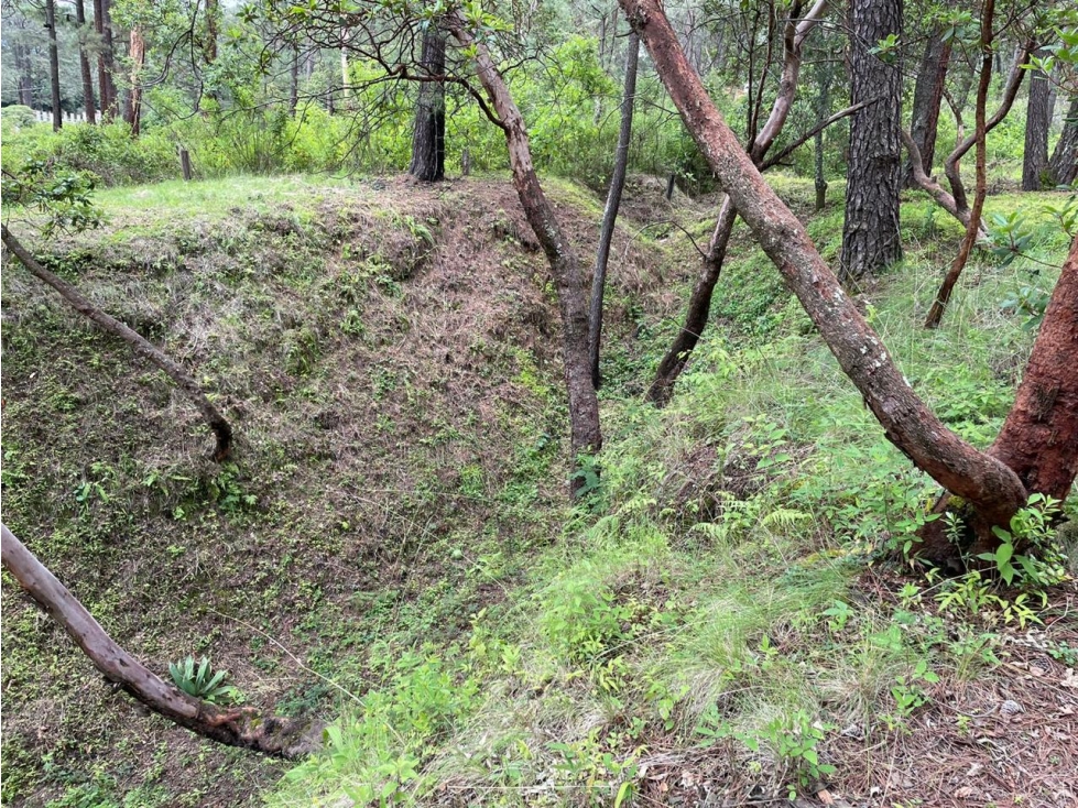 TERRENO EN VENTA EN VALLE DE BRAVO — foto 6