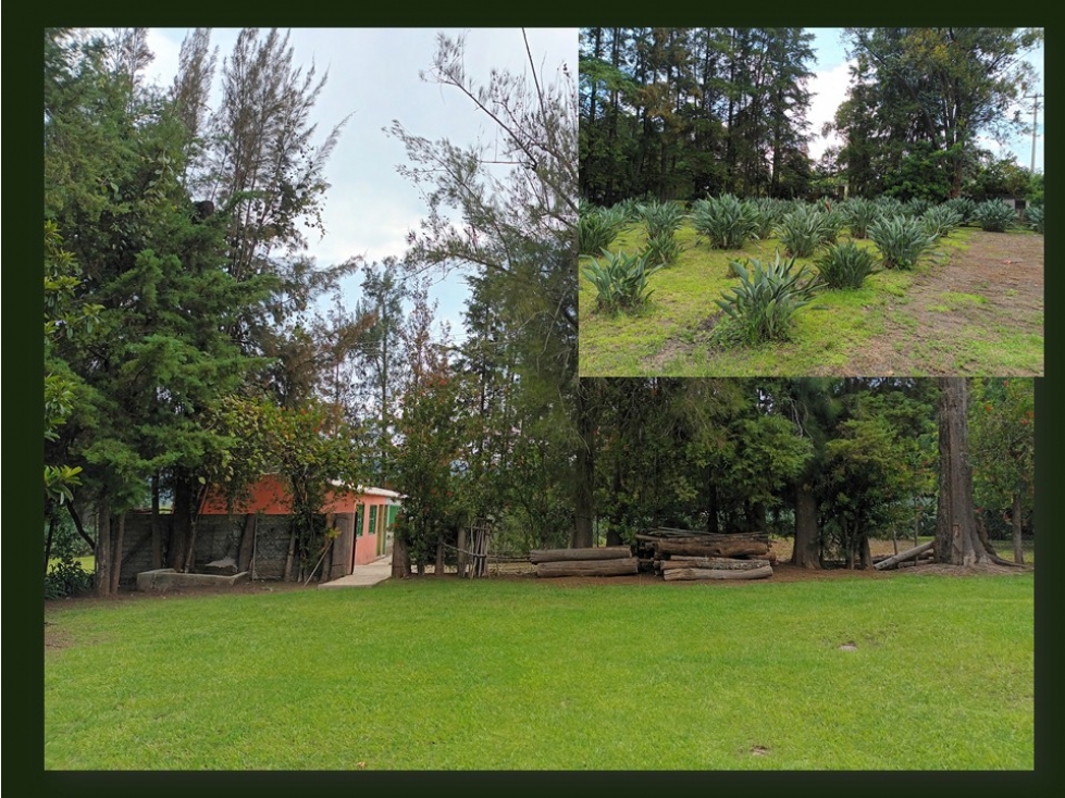 Terreno en venta en Valle de Bravo — foto 6