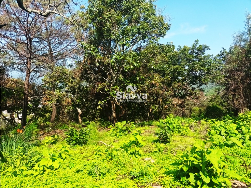 TERRENO EN VENTA EN EL ARCO, VALLE DE BRAVO — foto 6