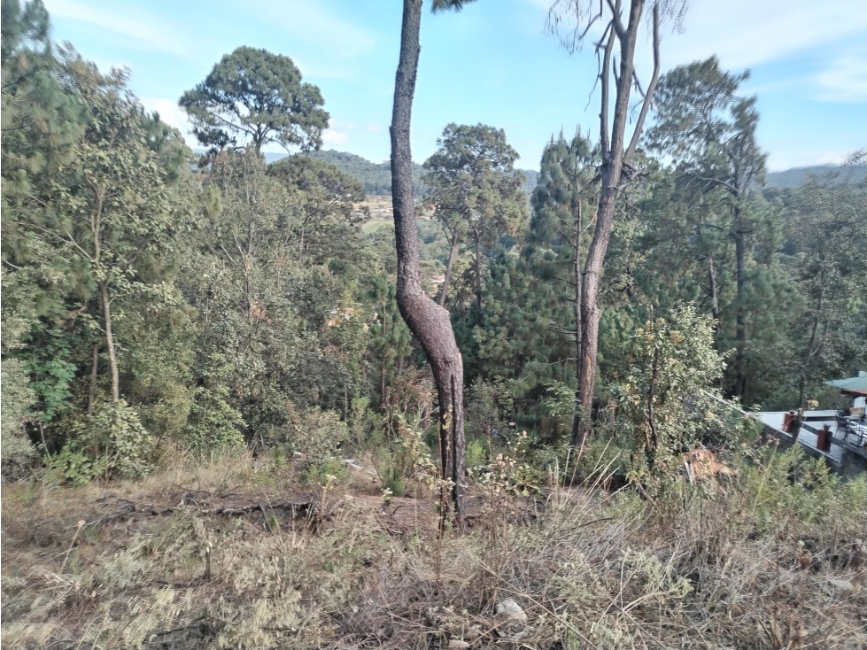 LOTE BOSCOSO EN VALLE DE BRAVO — foto 5