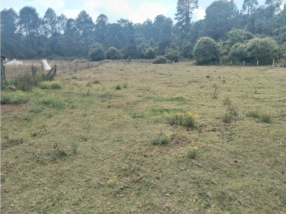 BONITO TERRENO EN VALLE DE BRAVO — foto 6