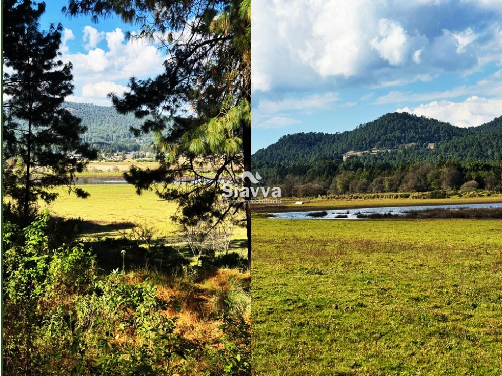TERRENO EN VENTA EN DONATO GUERRA — foto 5