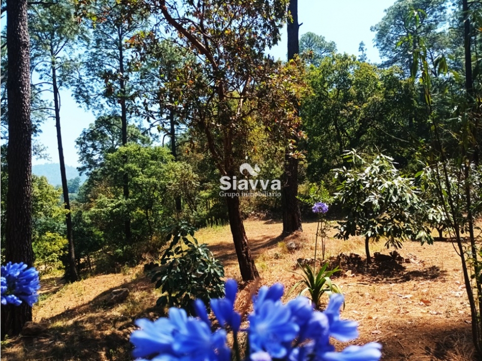 TERRENO EN VENTA EN LA CANDELARIA, VALLE DE BRAVO