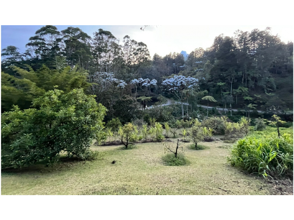 Vendo Lote Parcelación Lagos de Pontezuela