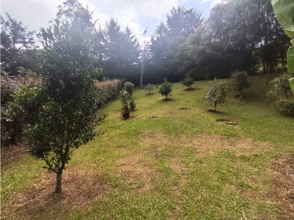 Vendo Casa Parcelación La Pradera — foto 3