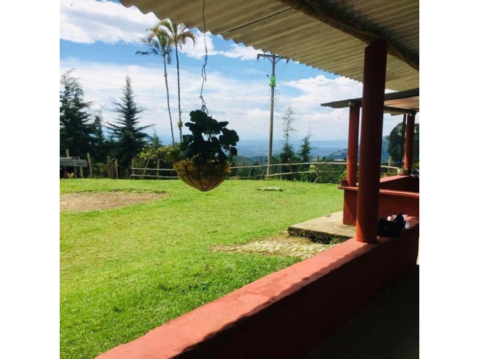 VENDO FINCA EN CORDOBA QUINDIO - 1