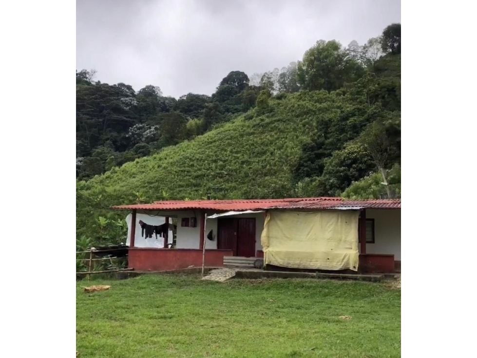 VENDO FINCA EN CORDOBA QUINDIO - 6