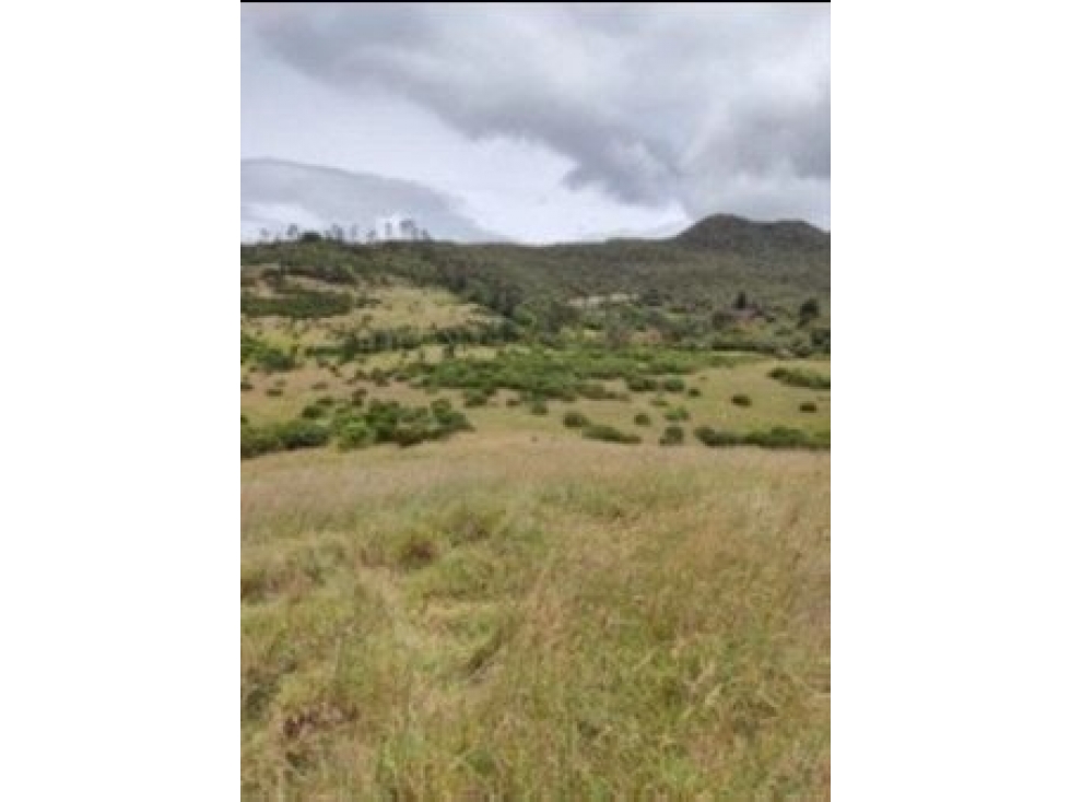 Venta Lote Chia, Chía — foto 2