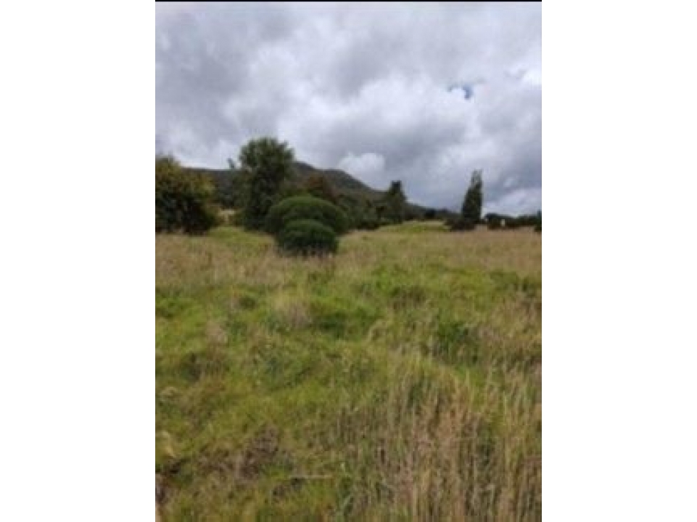 Venta Lote Chia, Chía — foto 4