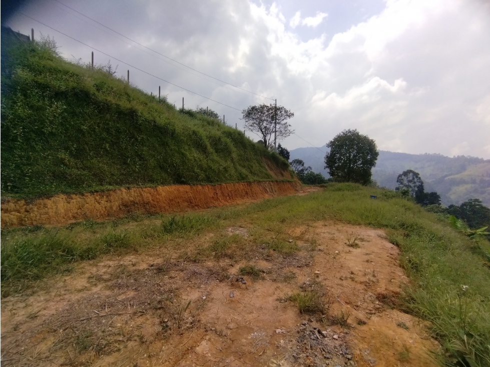 Venta Lote Sabaneta La Doctora (Brisas) P1 C7143485 - 2