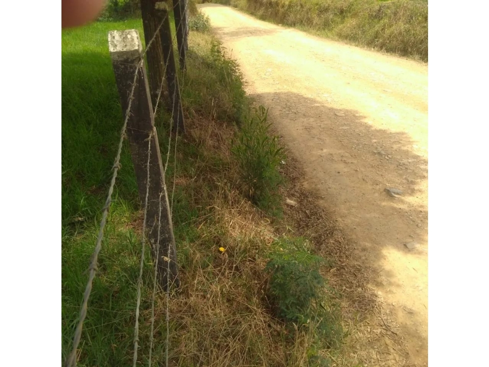 Venta Lote San Pedro de Los Milagros Vereda El Espinal C5573599 — foto 4