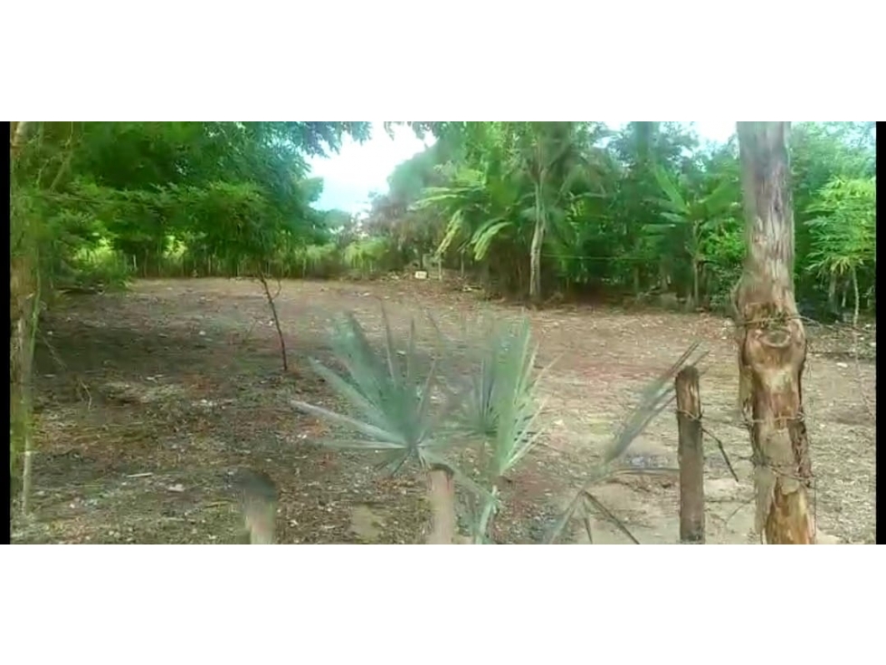 Vendo Lote San Antero Cordoba P1 C8131877 - 1