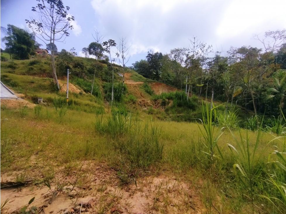 Venta Lote Sabaneta La Doctora (Brisas) P1 C7143497 - 4