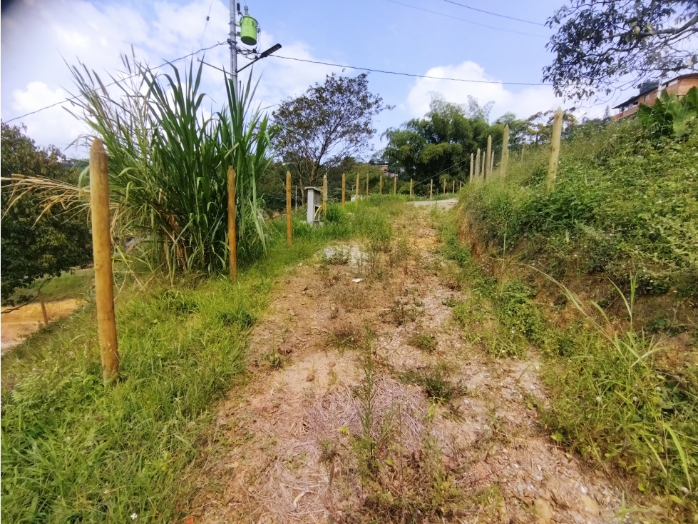 Venta Lote Sabaneta La Doctora (Brisas) P1 C7143509 - 1